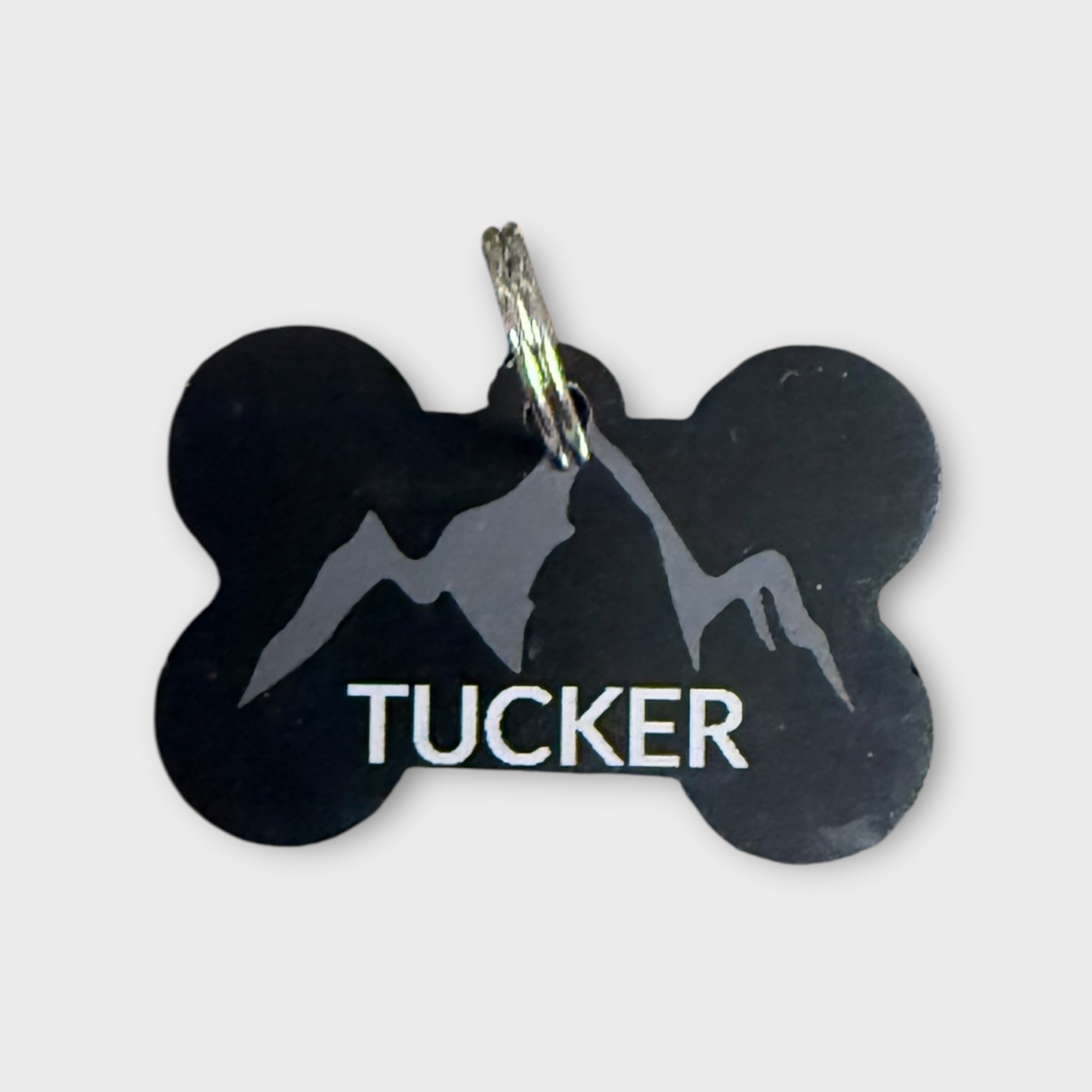 Metal Pet Tags
