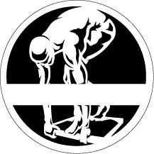 Swimmer Bogg Tag